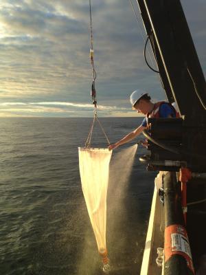 Scientists onboard the R/V Lake Guardian rinse a zooplankton net