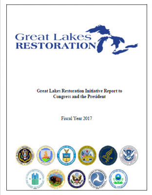 FY17 report cover page