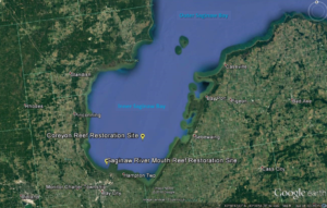 Location of reef restoration sites
