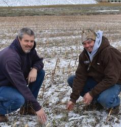 Augustian Farms, LLC