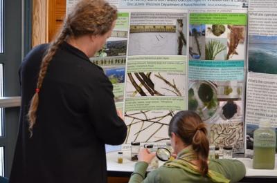 algae zoo display