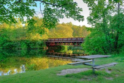 Foot bridge over Huron