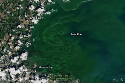 Aerial photo map of Lake Erie algal blooms