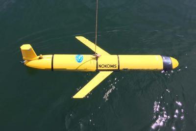 Nokomis monitoring device