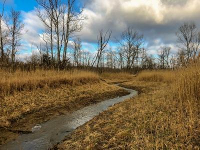 a stream winding through a field