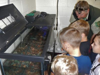 pupils observing fish in a tank