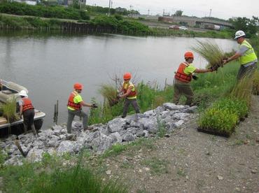 a line of people working at restoring vegetation on the bank of a river