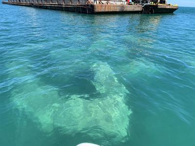 white reef structure is visible beneath surface of clear water