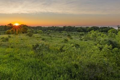 sunset over green landscape