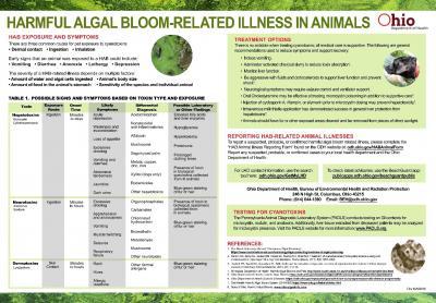 poster for veterinarians about harmful algal blooms