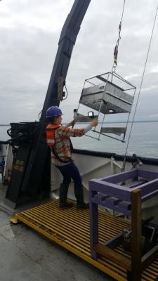 a person on the deck of a ship is positioning a metal rack hanging from a crane to be lowered into the water