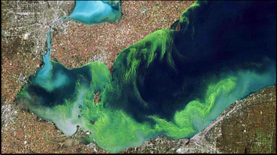 Overhead view of Lake Erie harmful algae bloom.