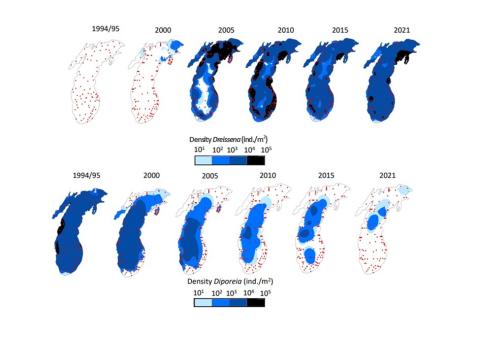 Figure 1. Dreissena and Diporeia spatial distribution in Lake Michigan from 1994-2021. Dreissena density data summarized in Karatayev et al. (2021a) and Burlakova & Karatayev (2023). Diporeia density for 1994/95, 2000, 2005, and 2010 from Nalepa et al. (2014); for 2015 from Nalepa et al. (2017); for 2021 from Burlakova & Karatayev (2023).