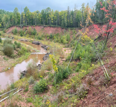 Unstable stream bluffs and vegetation growing.