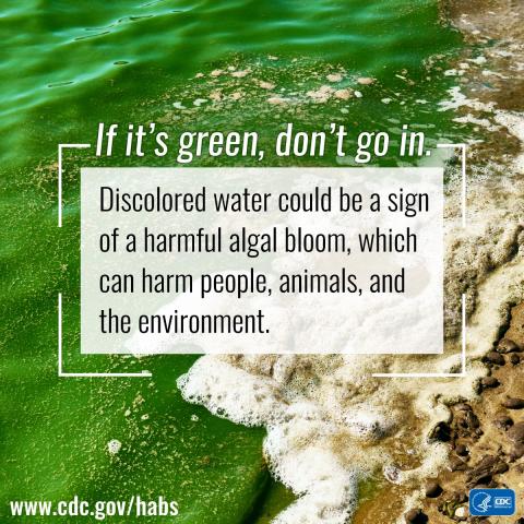 If it's green, don't go in.