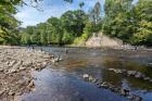 Anglers fish in the Salmon River. A rocky shoreline and many green trees are visible in the background.