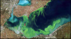 Overhead view of Lake Erie harmful algae bloom.